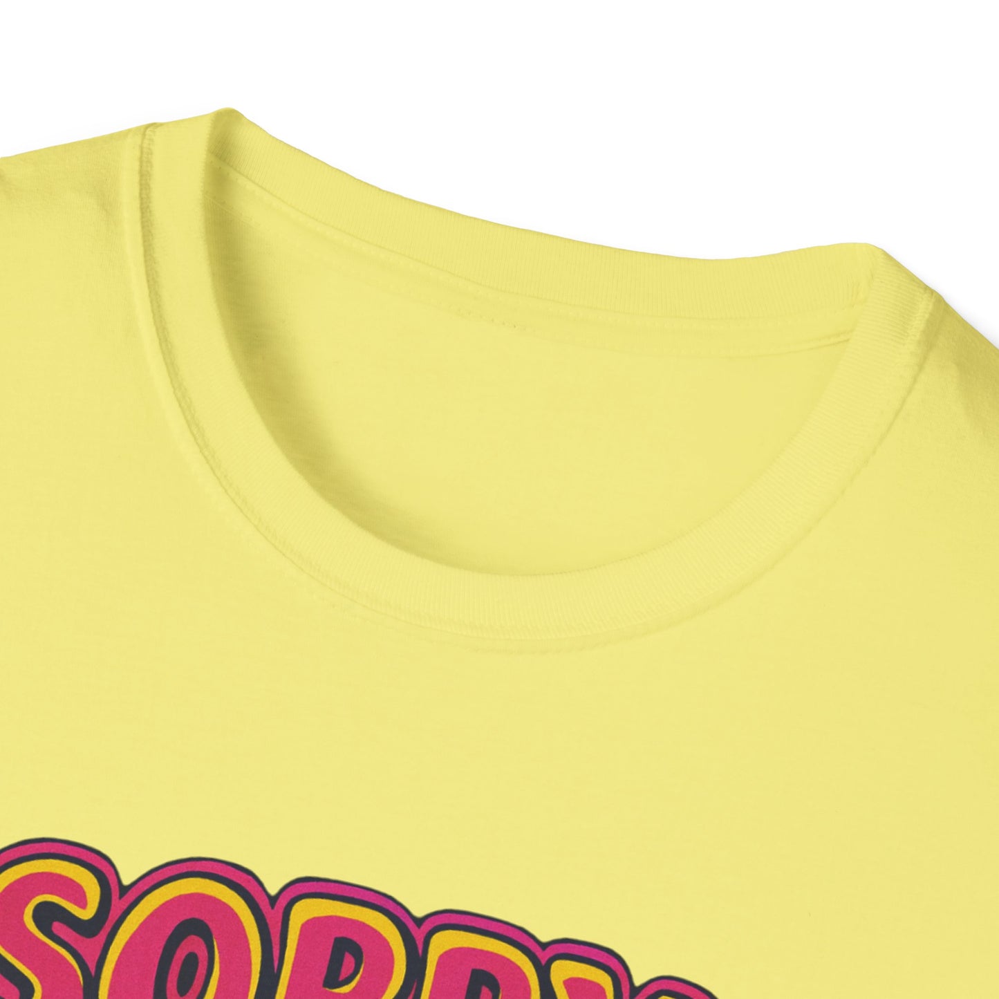 Sorry my lesson blocks your chat T-shirt